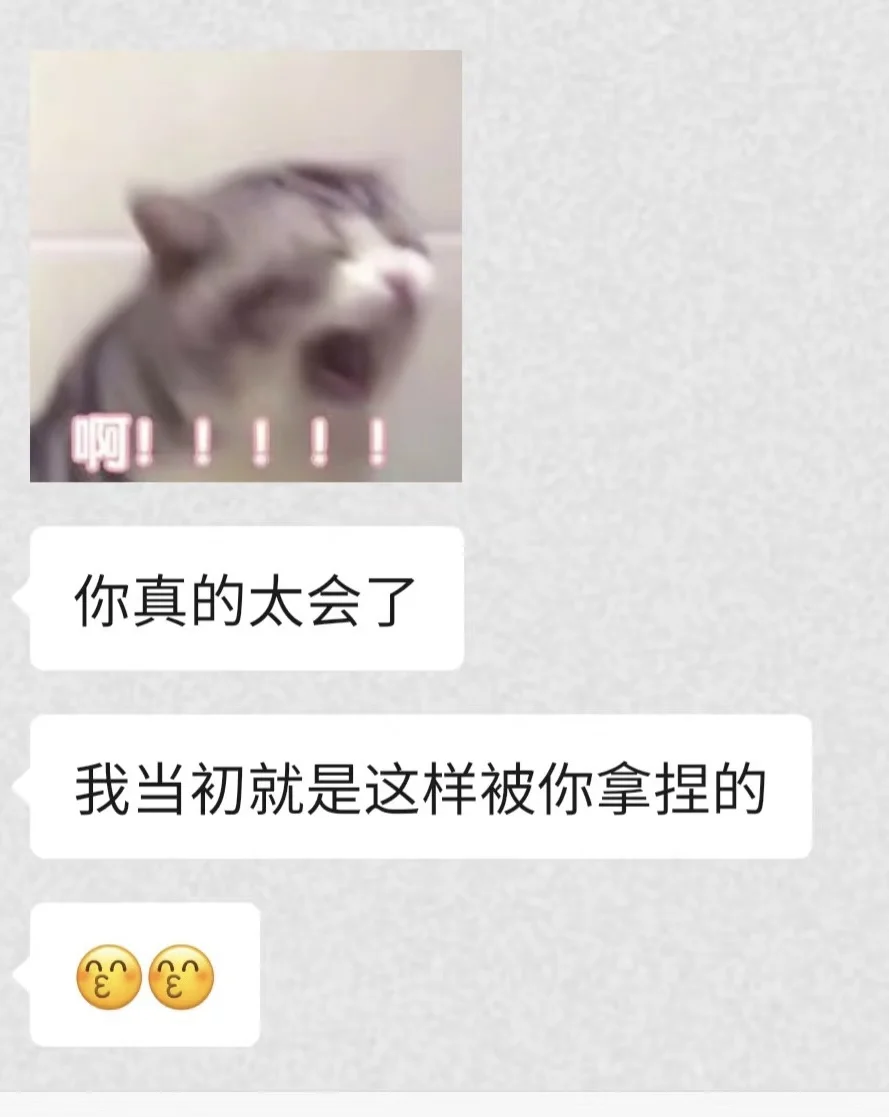 魅魔速成班：暧昧期烧烧篇（纯纯话术篇）