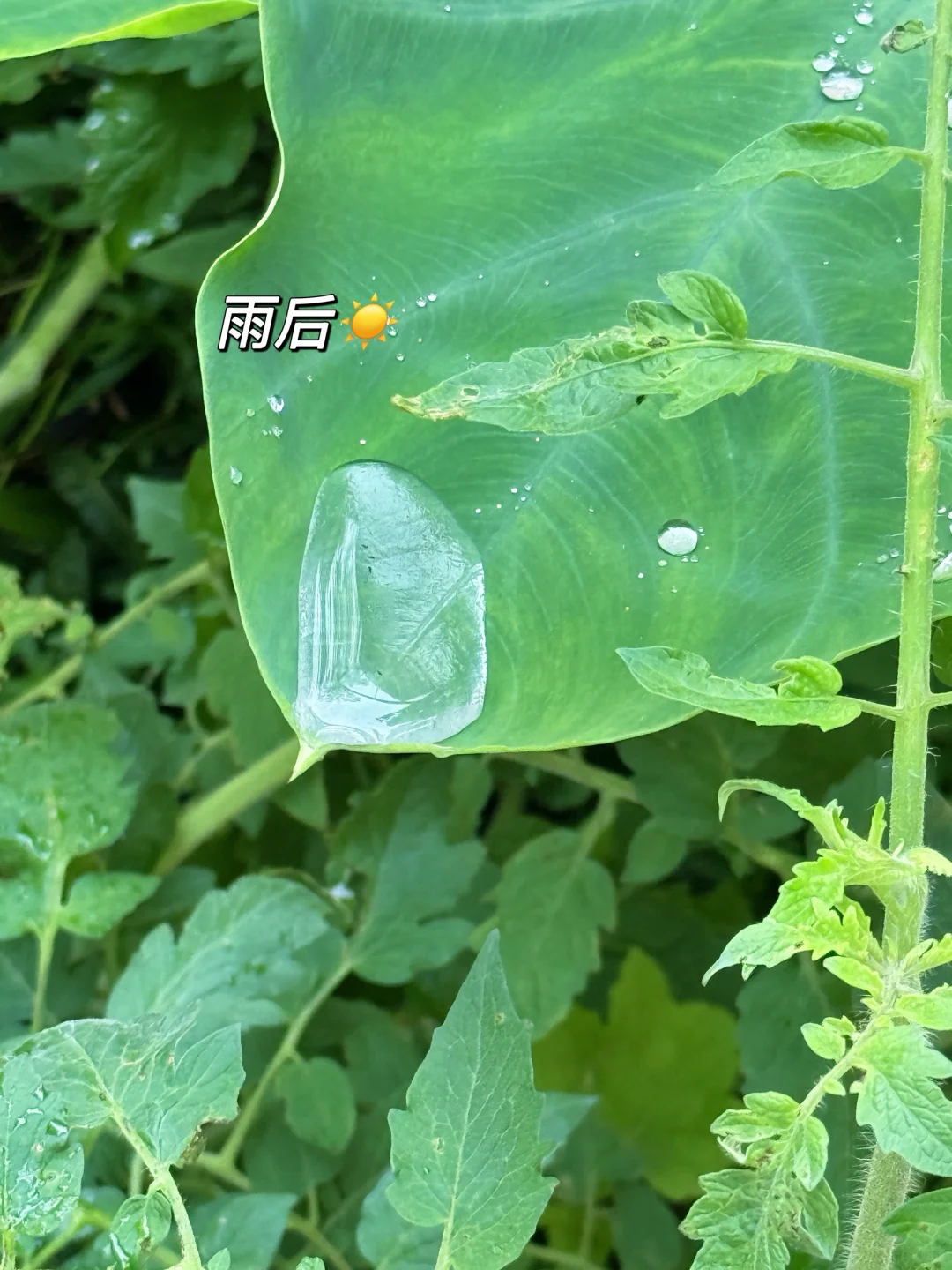 阳光正好☀️很明媚