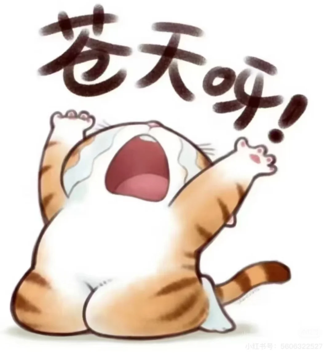 省吃俭用，房贷我还了个寂寞！！！