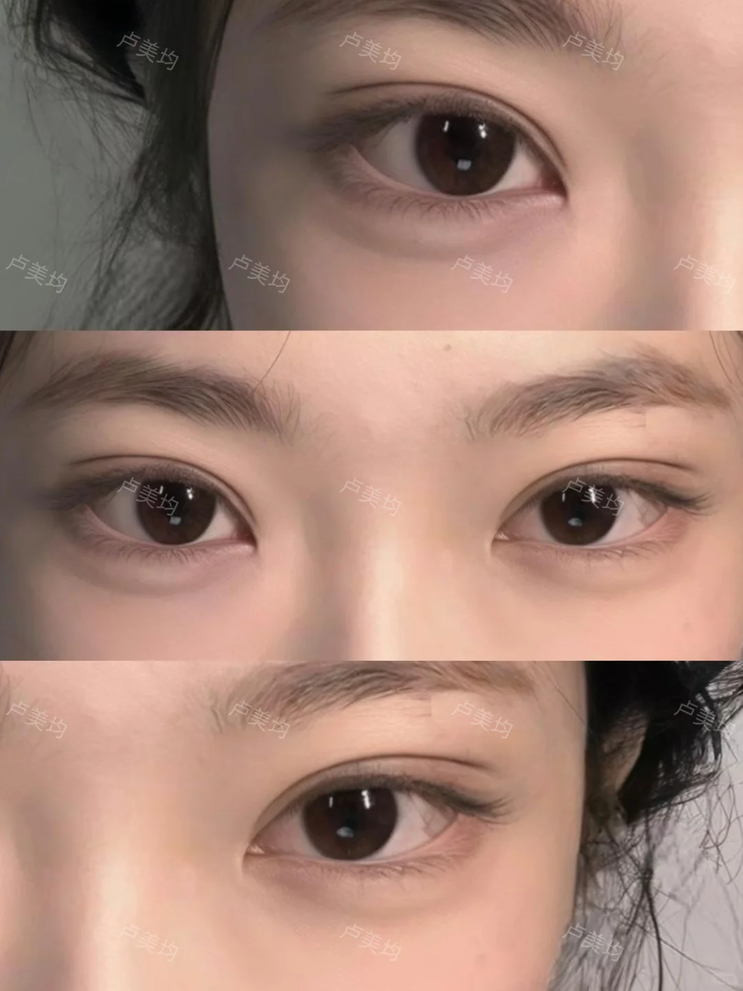 7mm平扇狐系眼尾上扬，真的很幼态