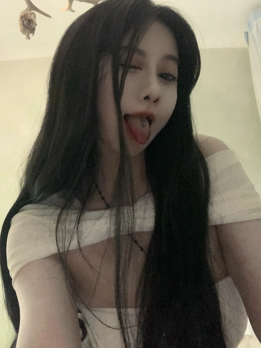 小猫在睡觉
