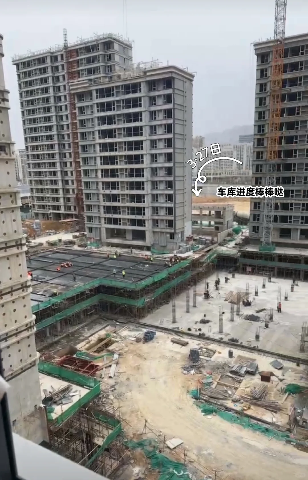 新家成长记录3🌿