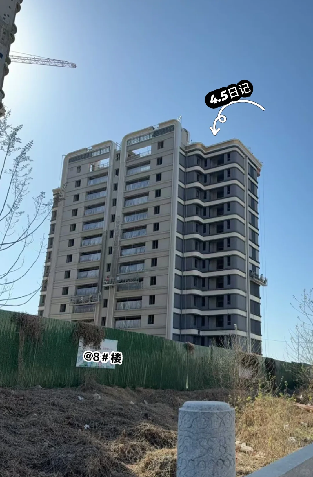 新家成长记录3🌿