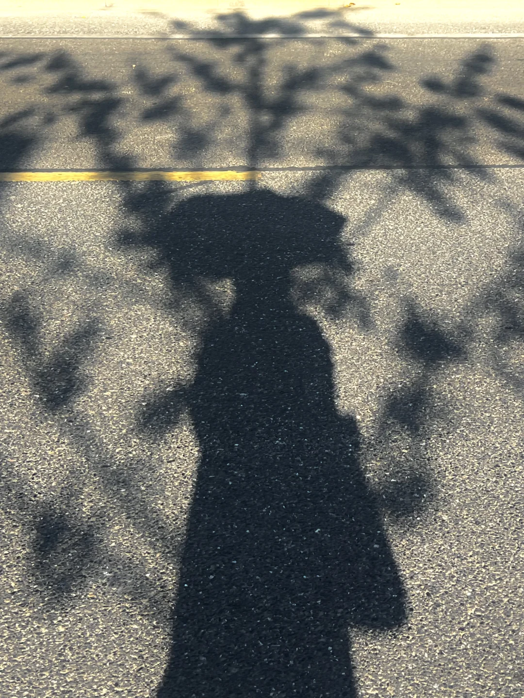 美的本质是向上的生命力🍃