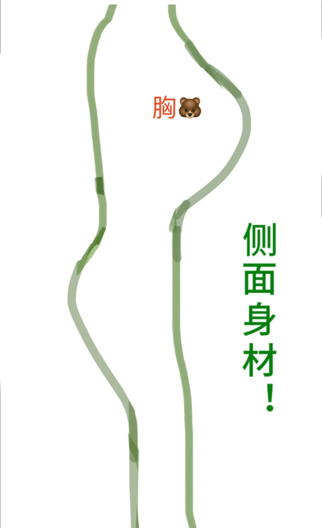 到底有多少女生是这种身材的啊