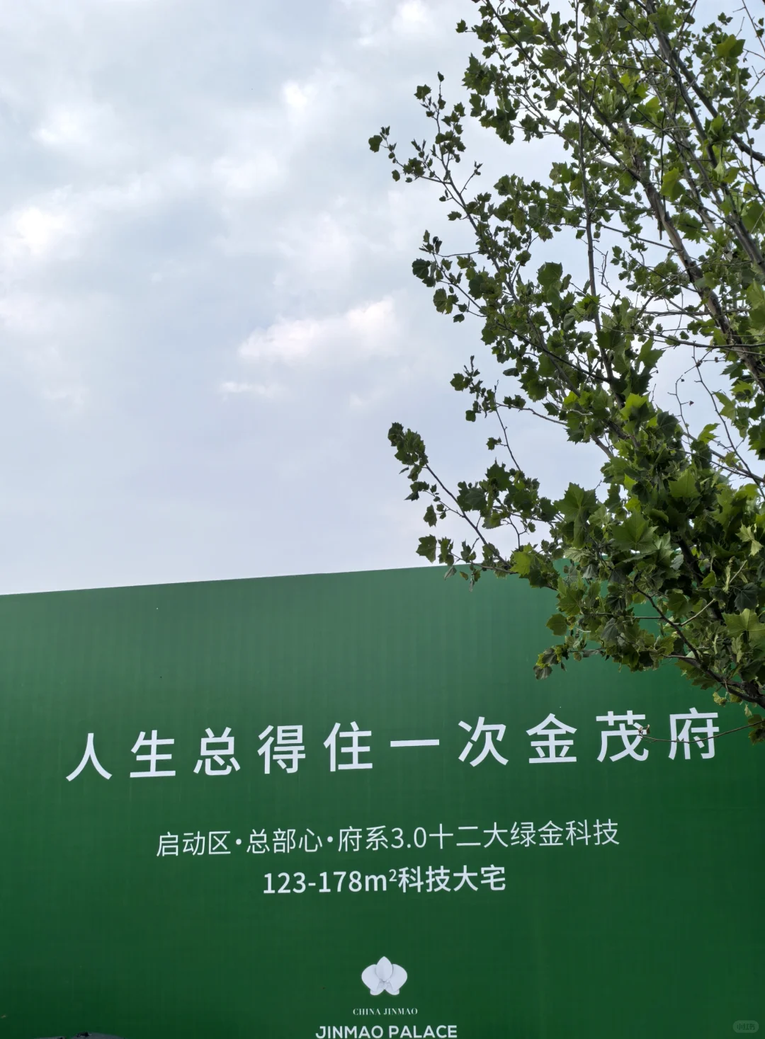 雄安 | 最便宜的金茂府