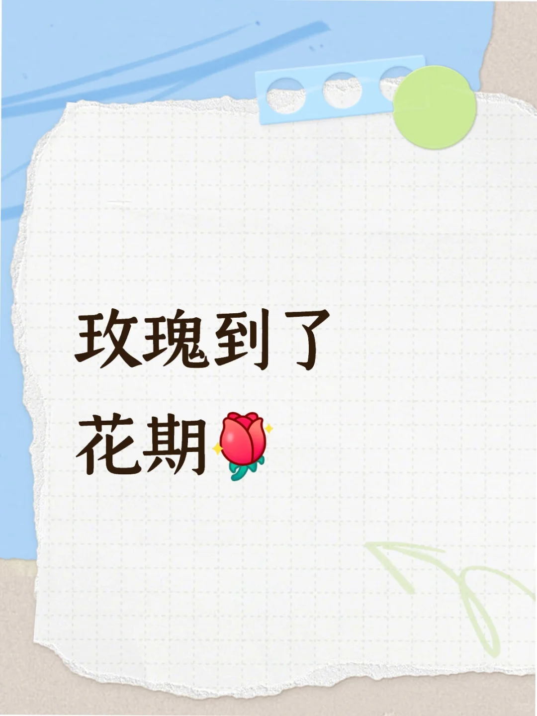 愿你如玫瑰般娇艳 更愿你天天开心