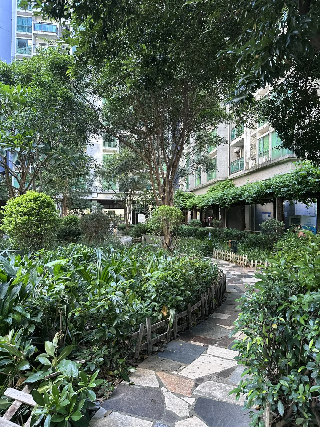 深圳150W小两房👀看房记录——怡康家园