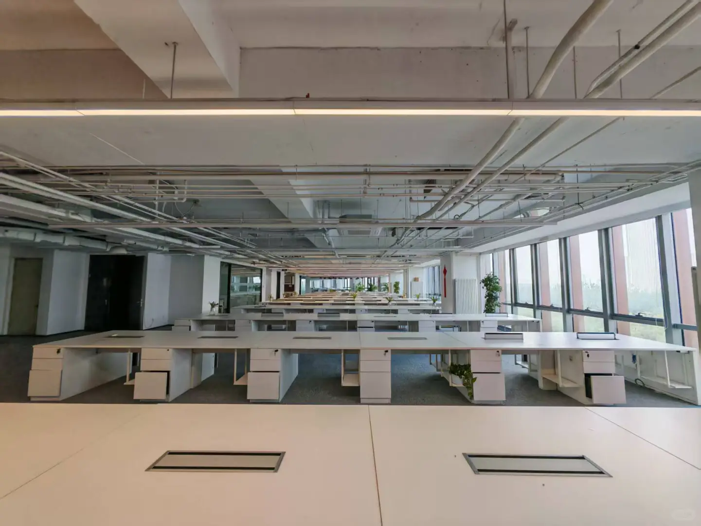 当写字楼有了“公园编制”🌳💼