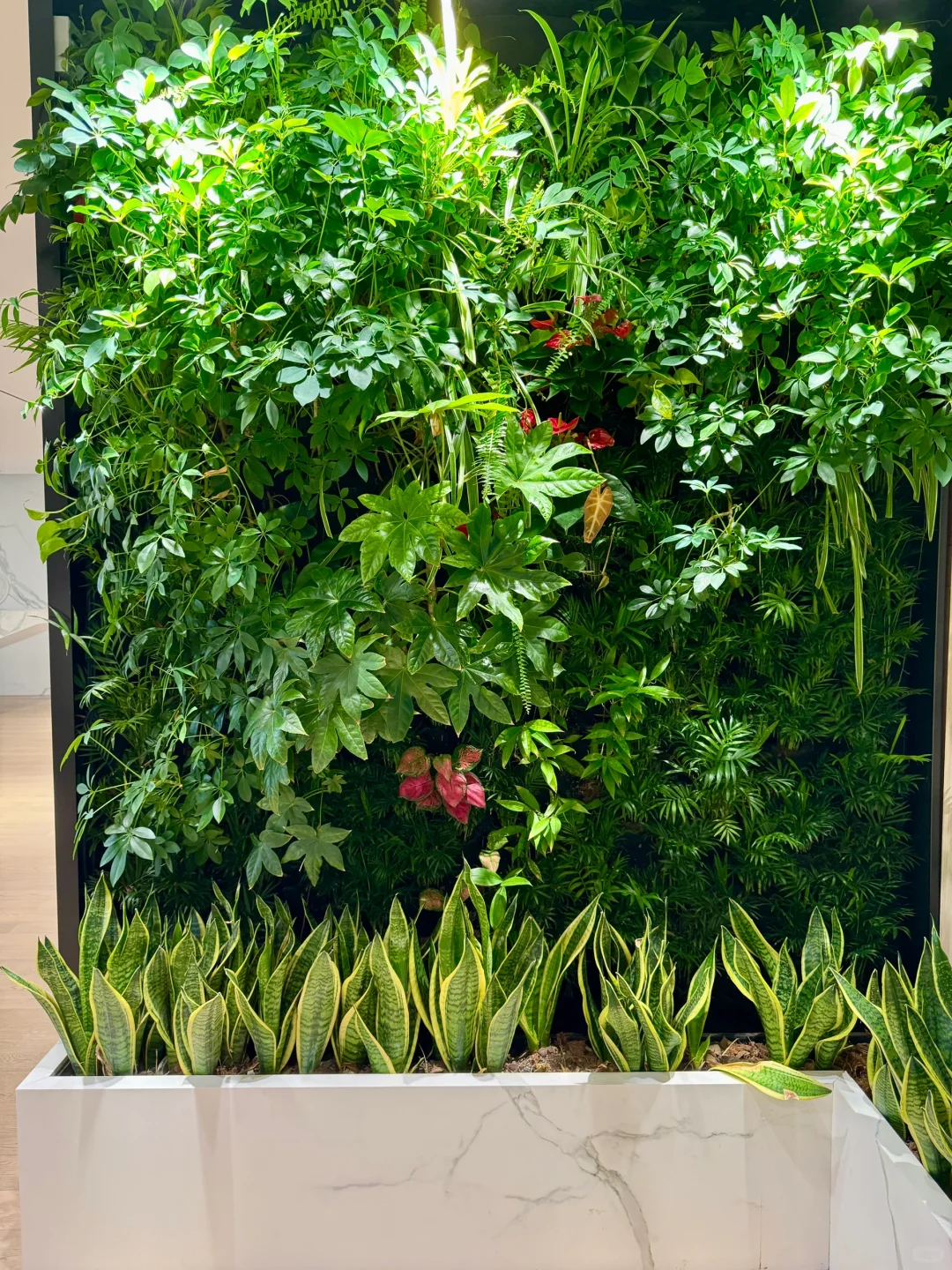 善待员工的老板一定要来看看这个写字楼