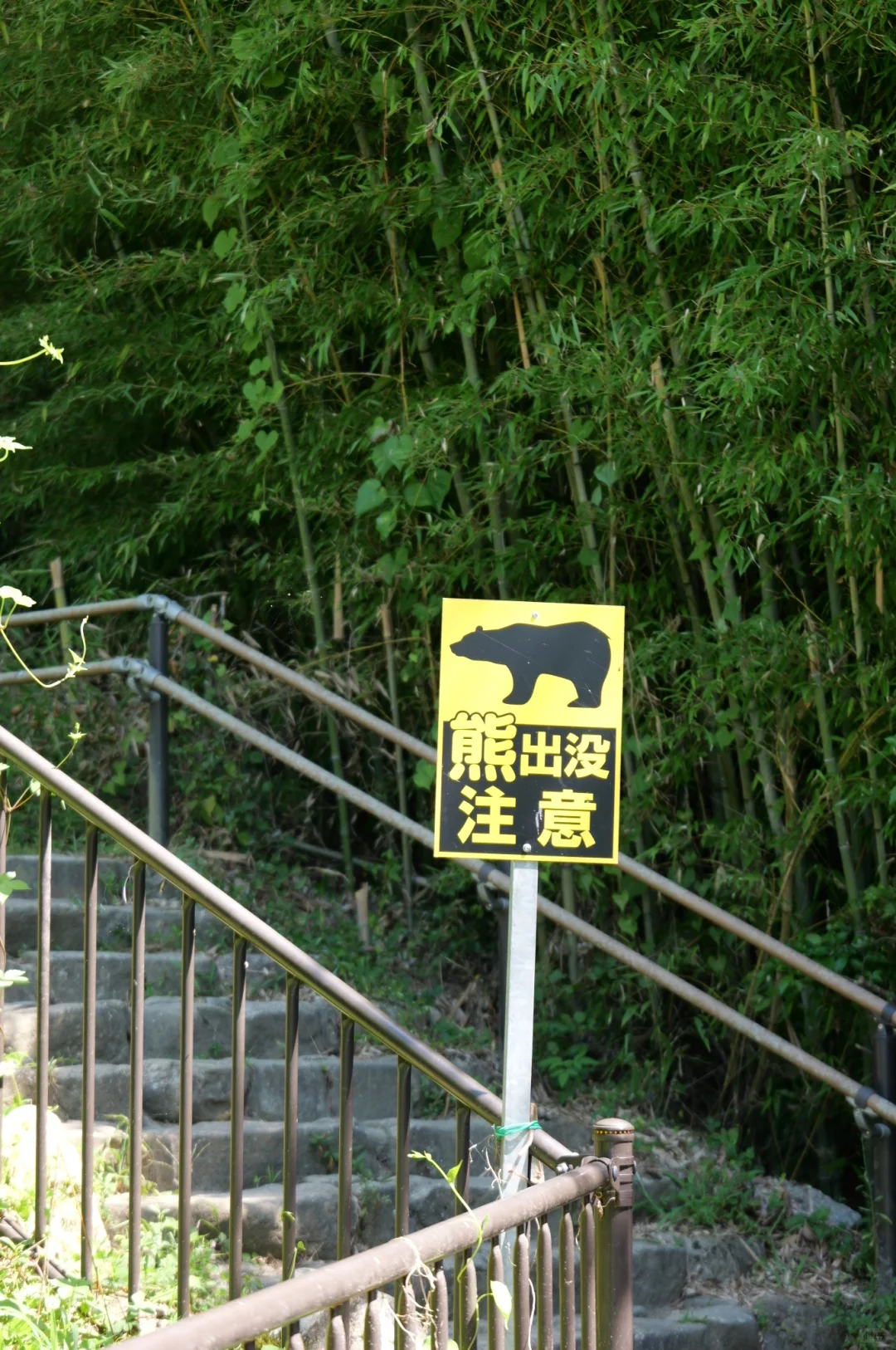马笼宿→妻笼宿，8公里徒步一些小Tips
