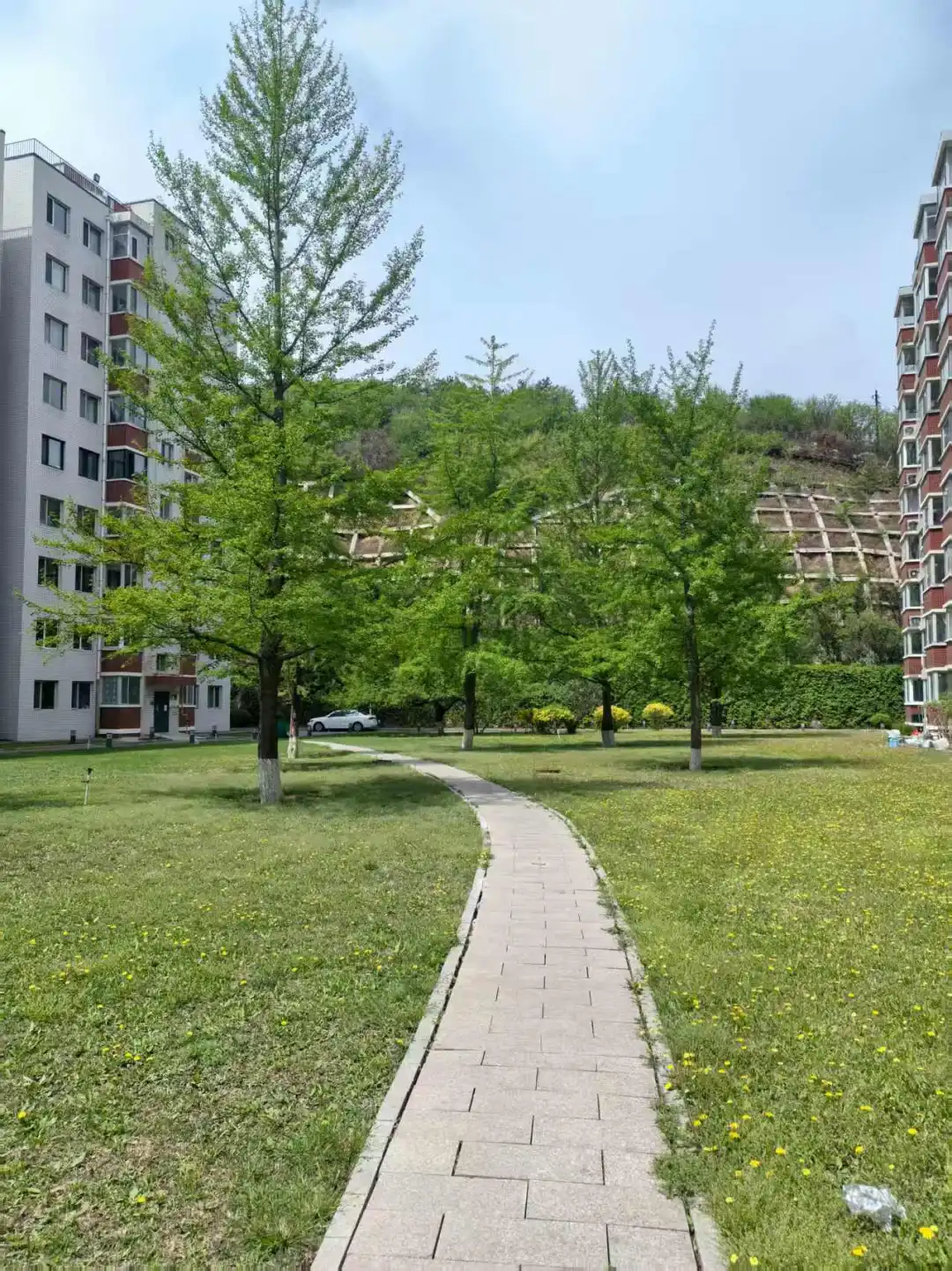 房东直售 改善之选 平地三室两厅一卫