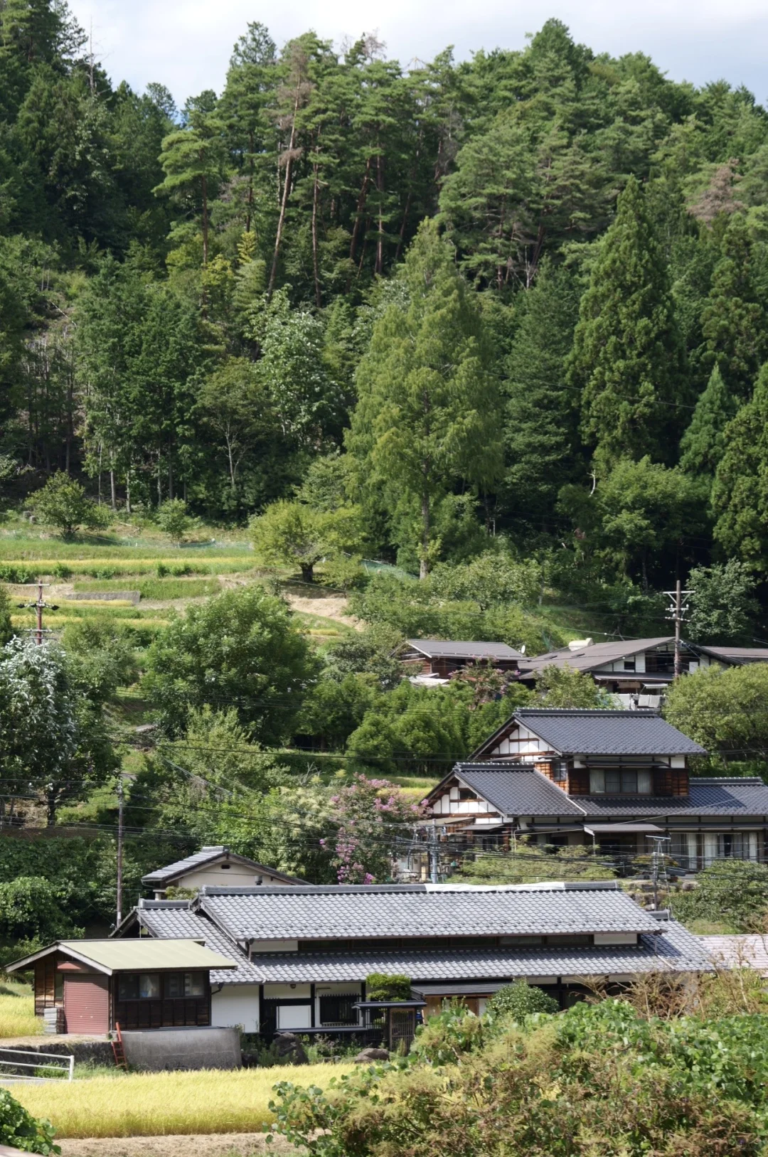 马笼宿→妻笼宿，8公里徒步一些小Tips