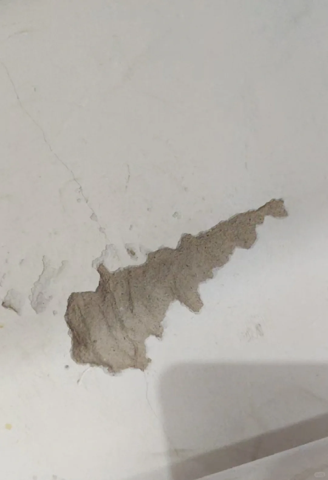 出租房被租客弄的没有一面墙