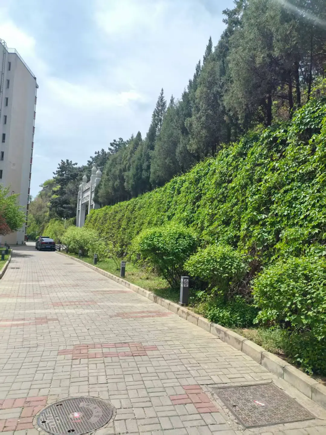 房东直售 改善之选 平地三室两厅一卫