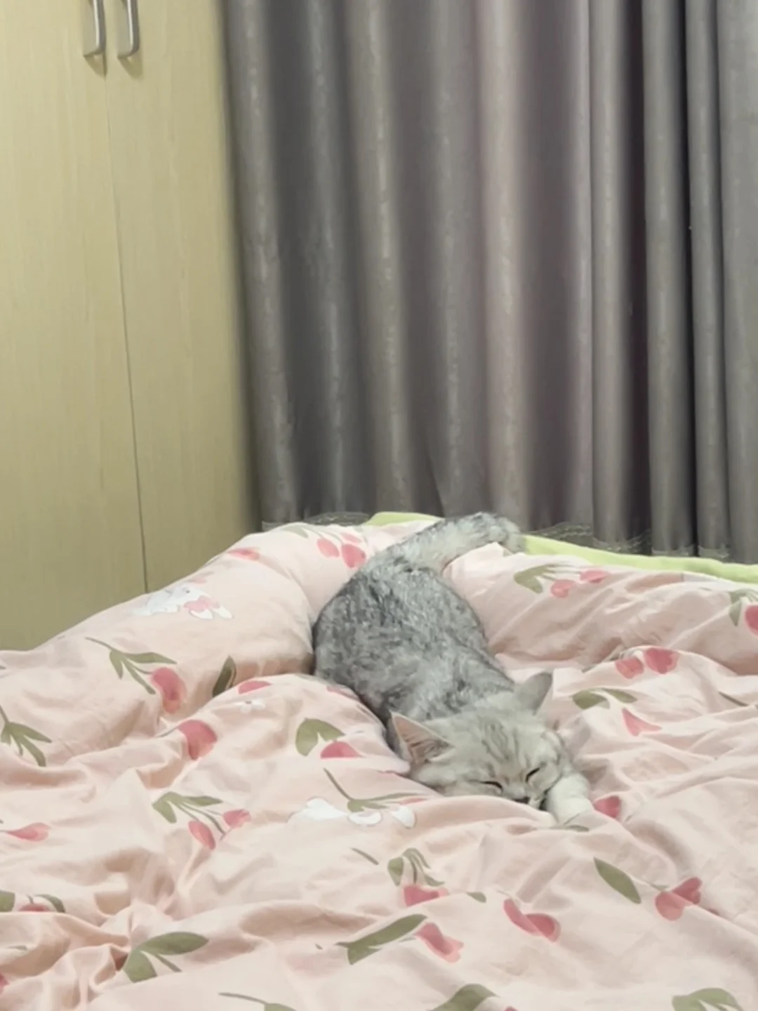 我也在石家庄有自己的小窝了～感谢中介姐姐