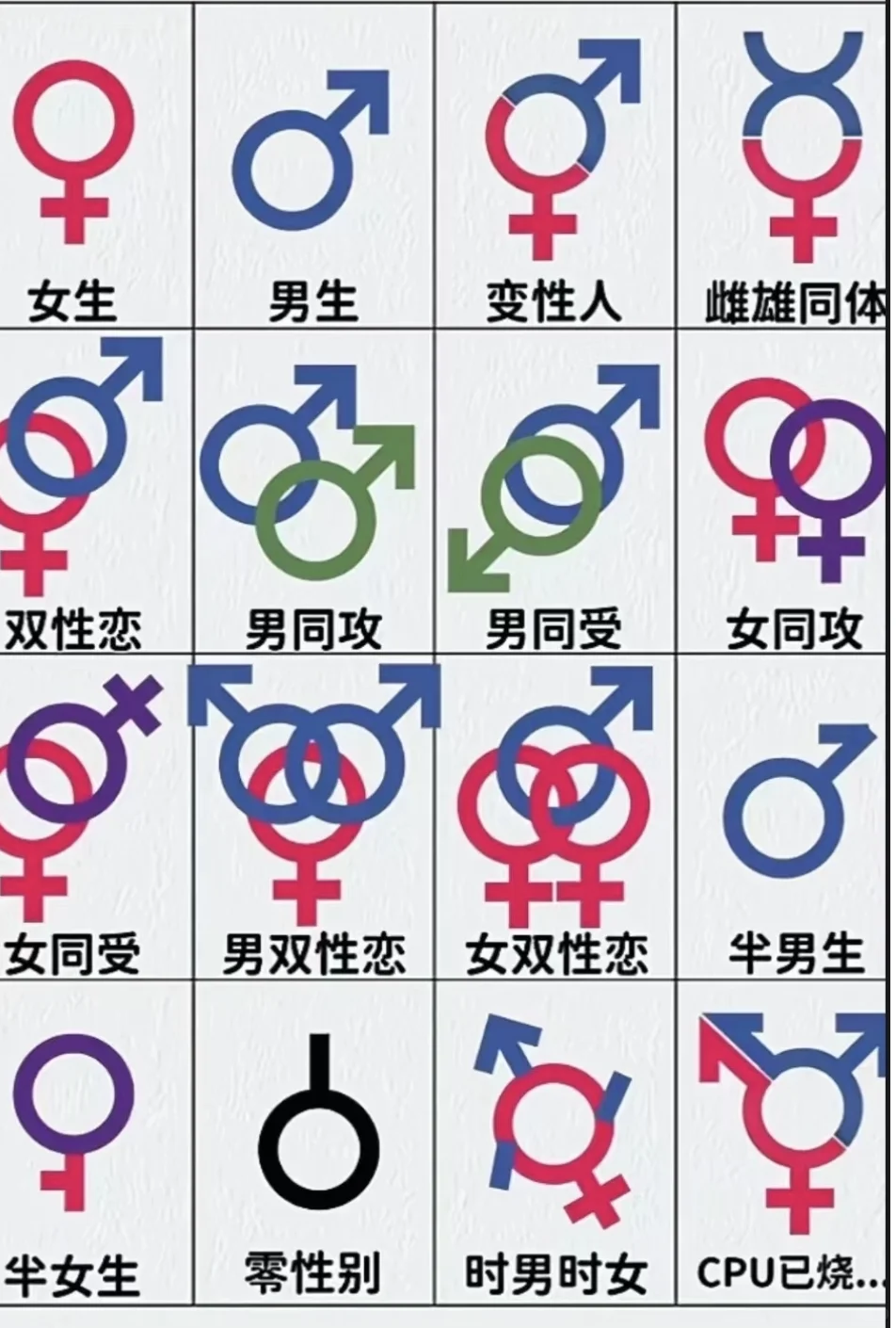 我勒个骚杠