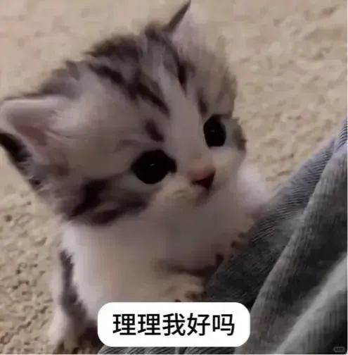 极致魅惑~