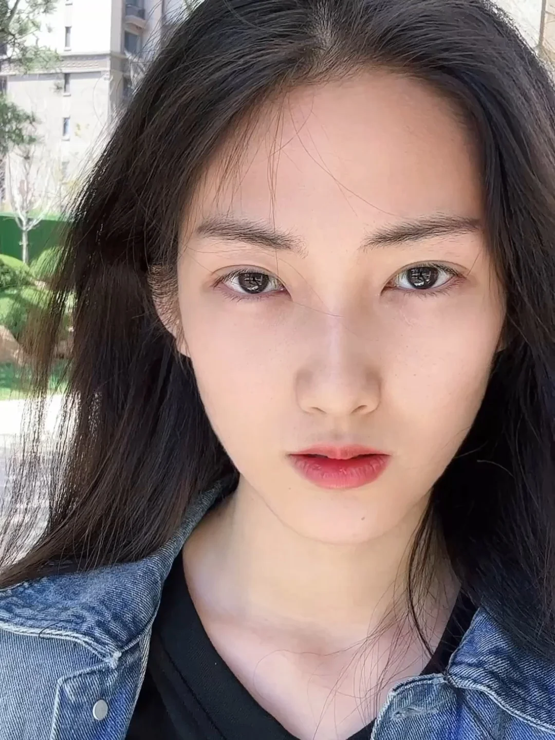 不符合现代审美的一张脸……没有网感