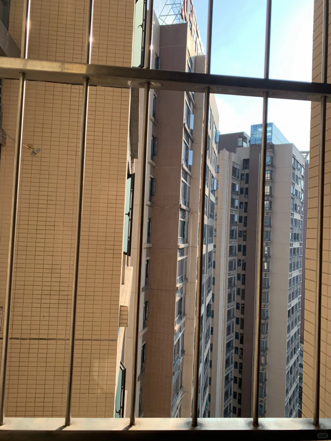 广东河源房屋出租