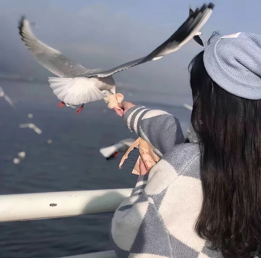 头像｜不露脸女生背影头像