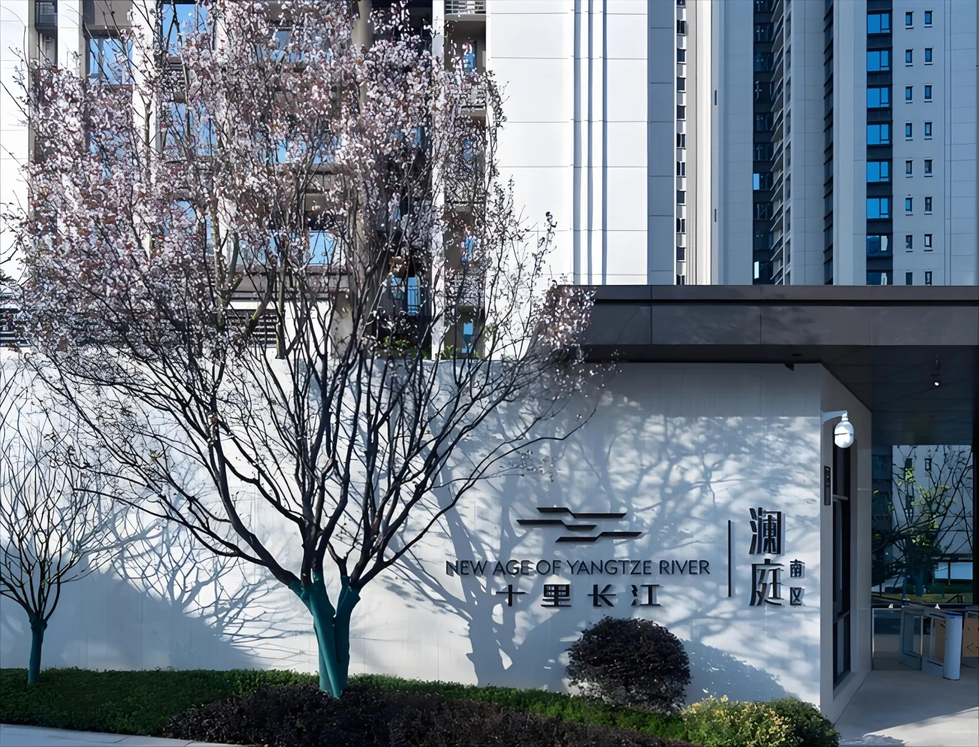 血亏189丸 重庆南滨路一线看江大平层