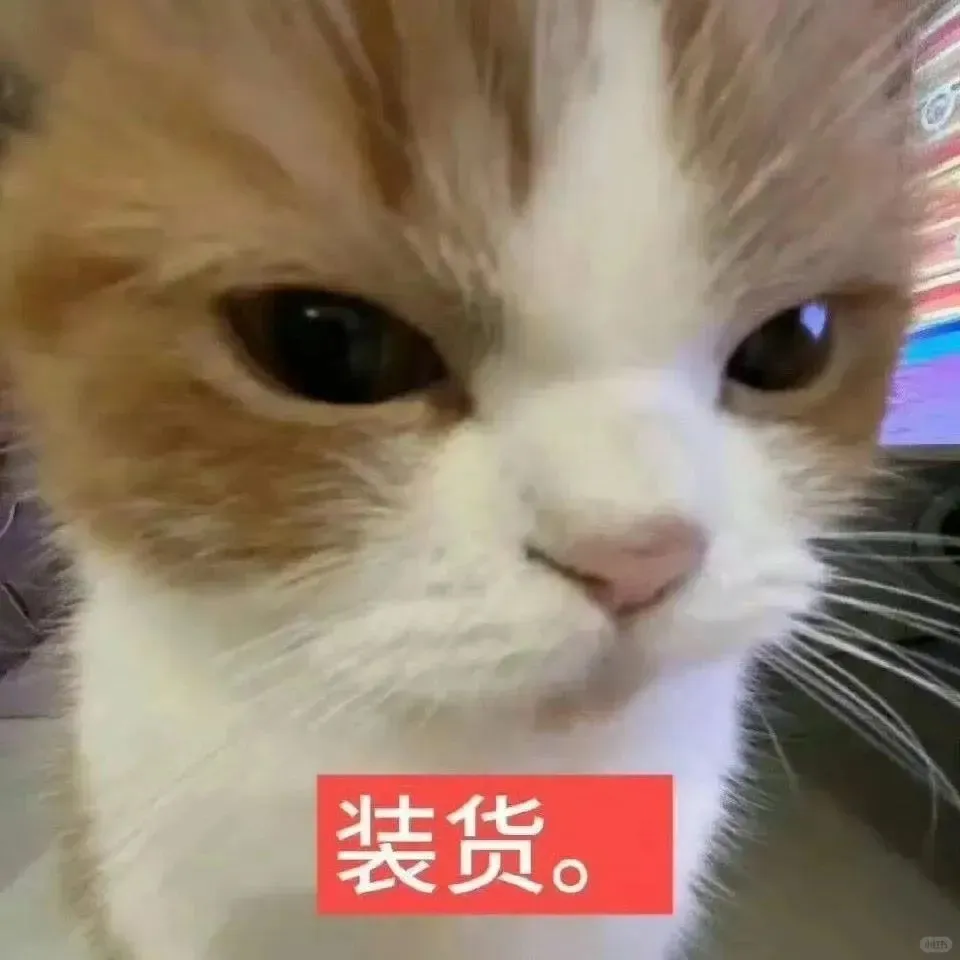 极致魅惑~
