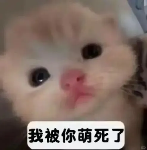 极致魅惑~