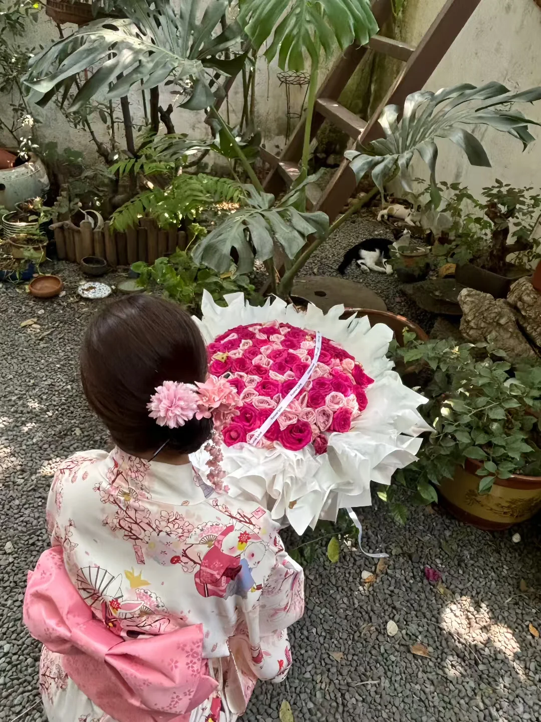 庭中三千梨花书