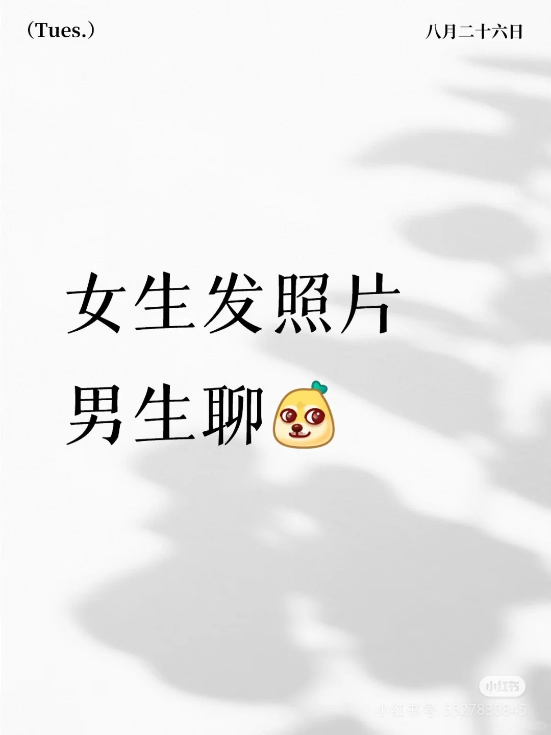 女生发照片男生聊