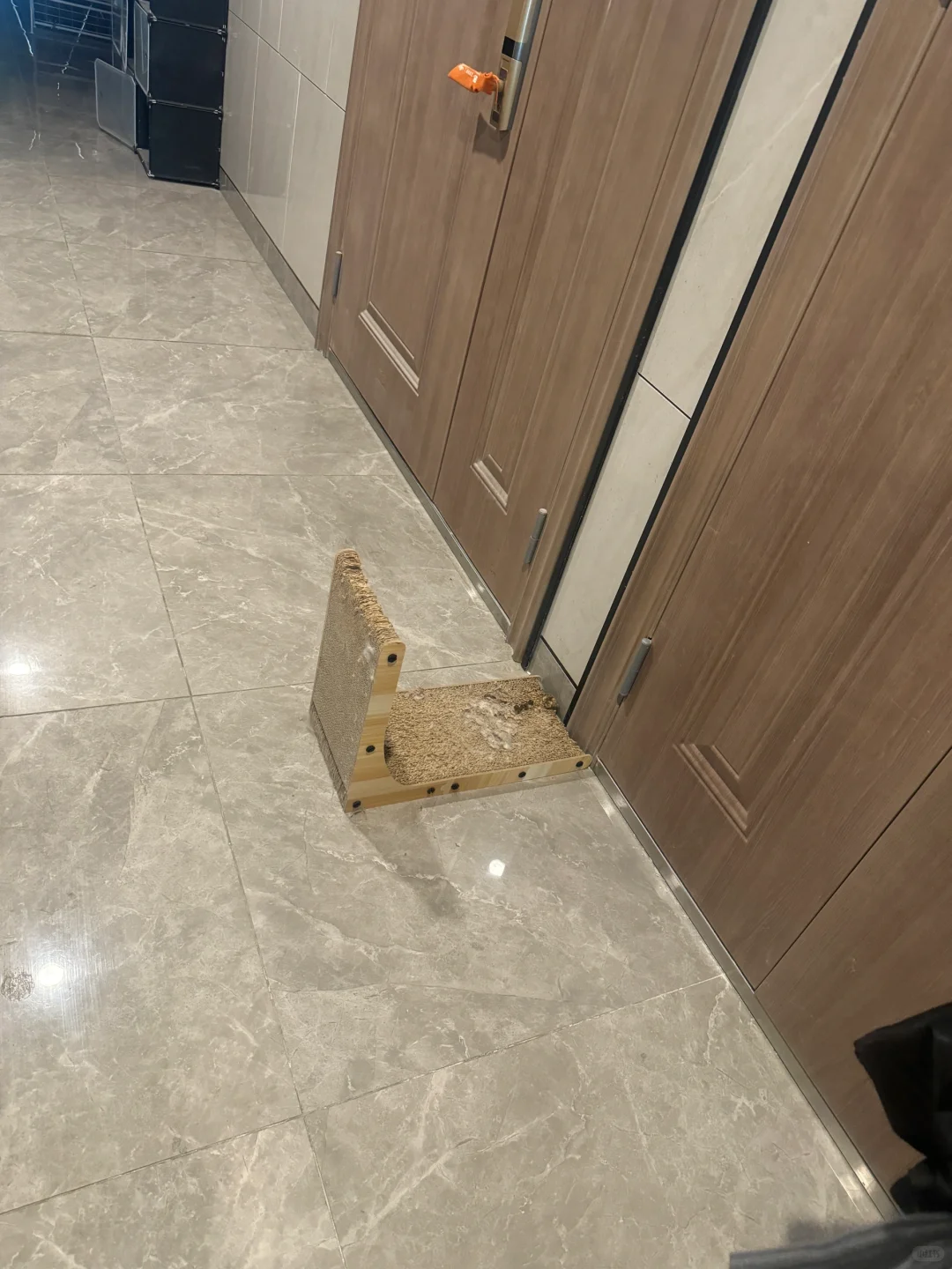 金地悦江时代朗湾小区走廊也是家