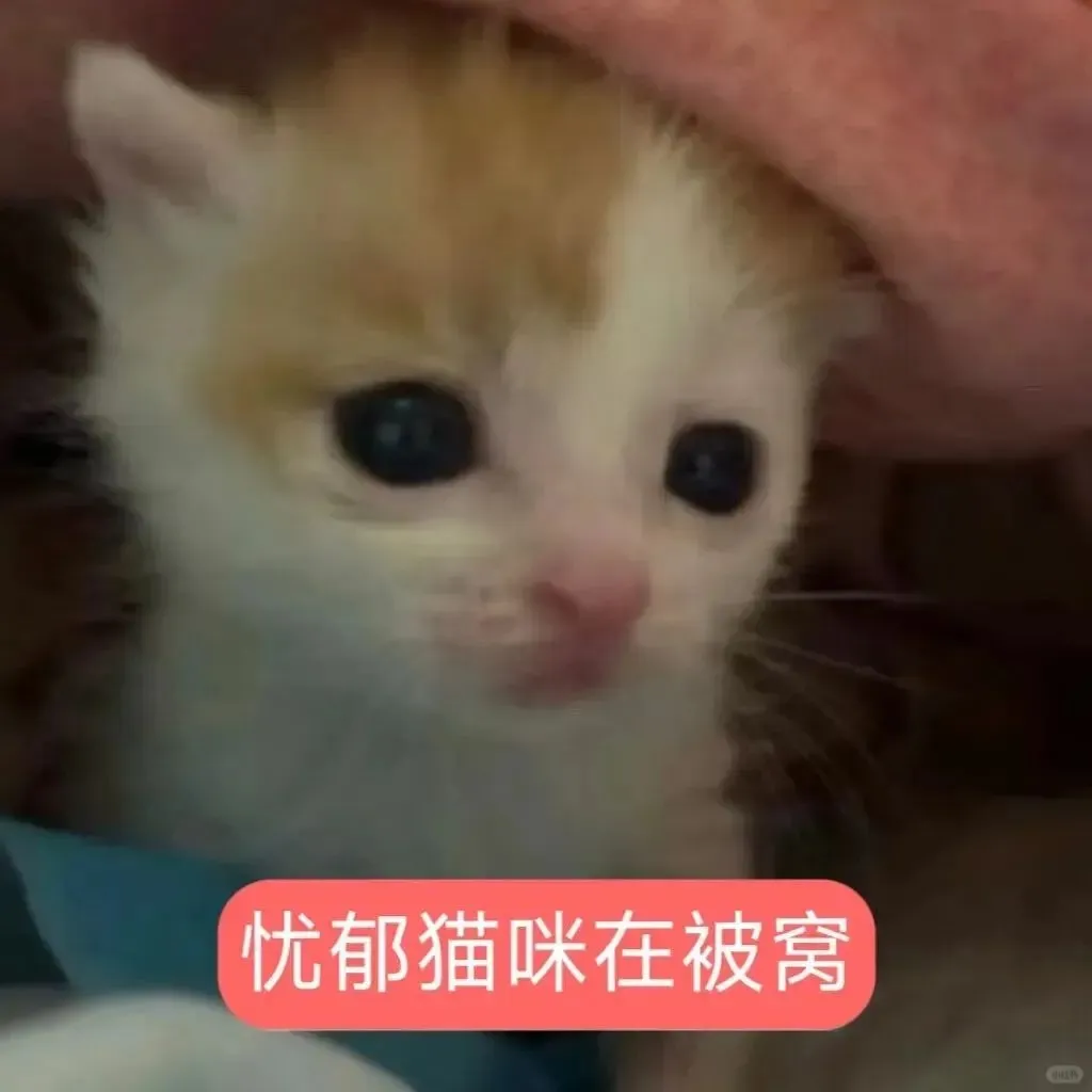 极致魅惑~