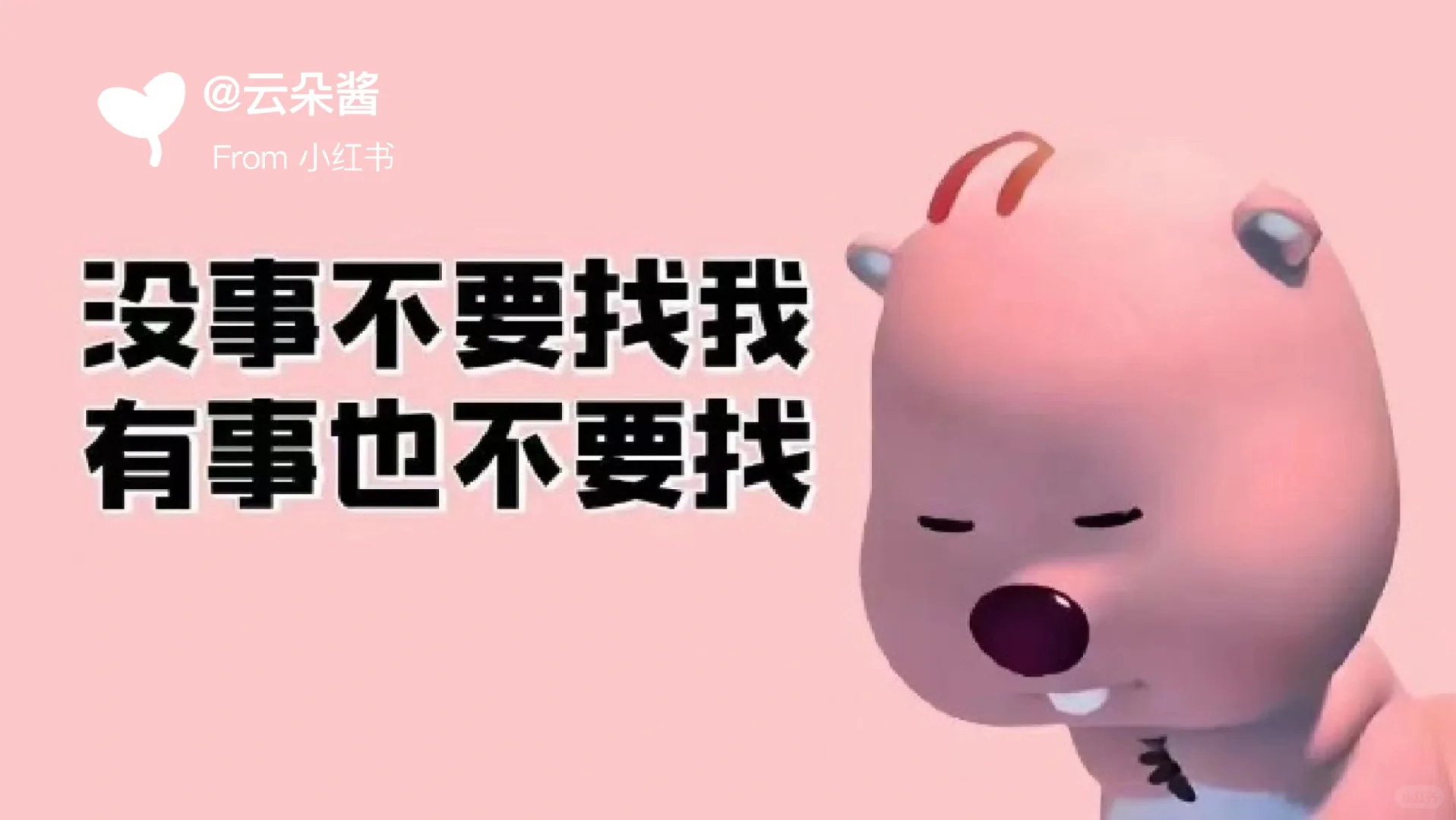 今日欢乐电脑壁纸梗图来啦