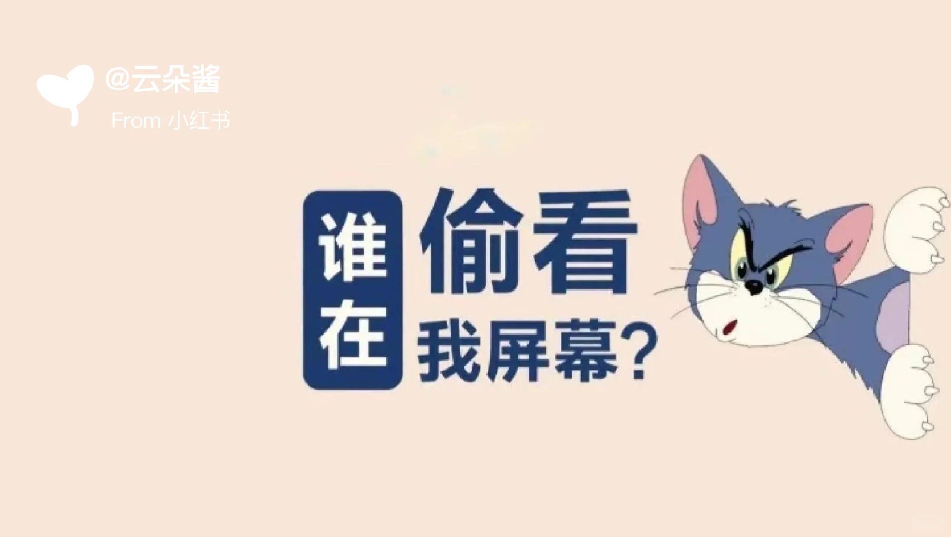 今日欢乐电脑壁纸梗图来啦