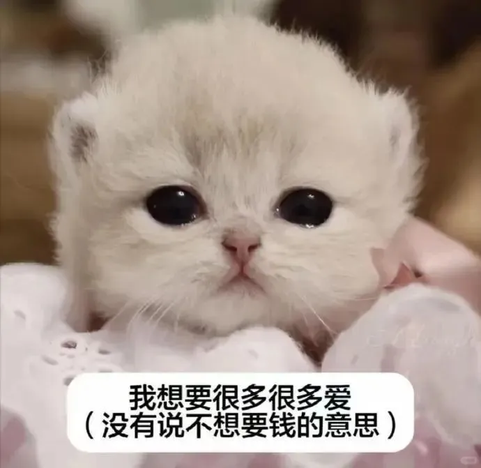极致魅惑~