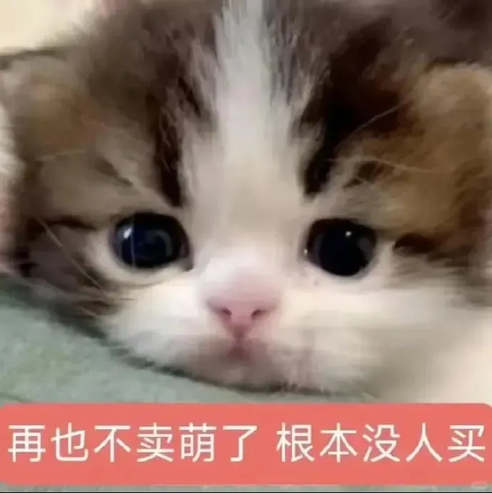 极致魅惑~