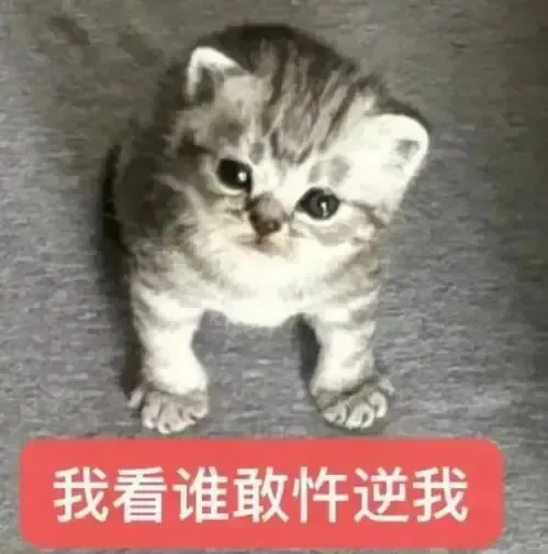 极致魅惑~