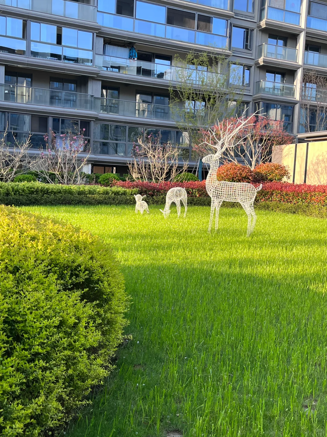 洋房一楼带地下室带花园，入住幸福感满分