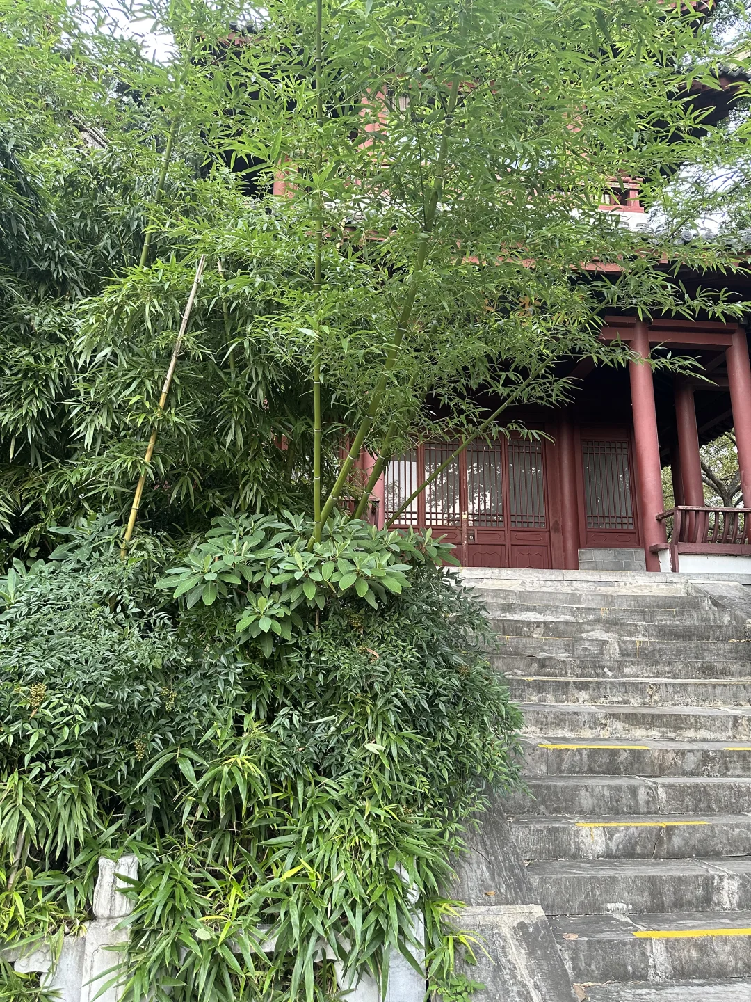 旗袍是温柔本身🪷