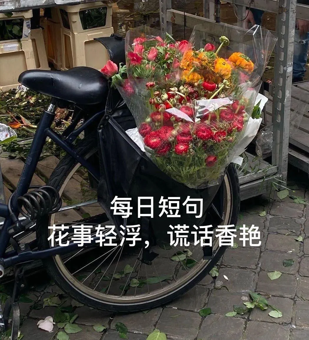 每日短句 | 花事轻浮，谎话香艳