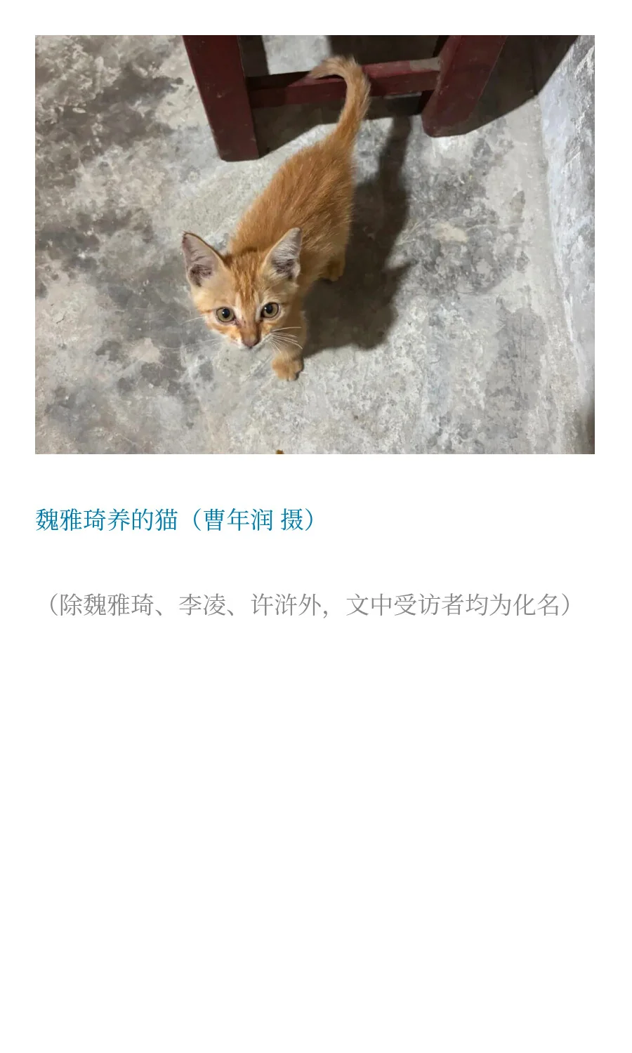 被高层住宅外墙脱落物砸亡的20岁女孩