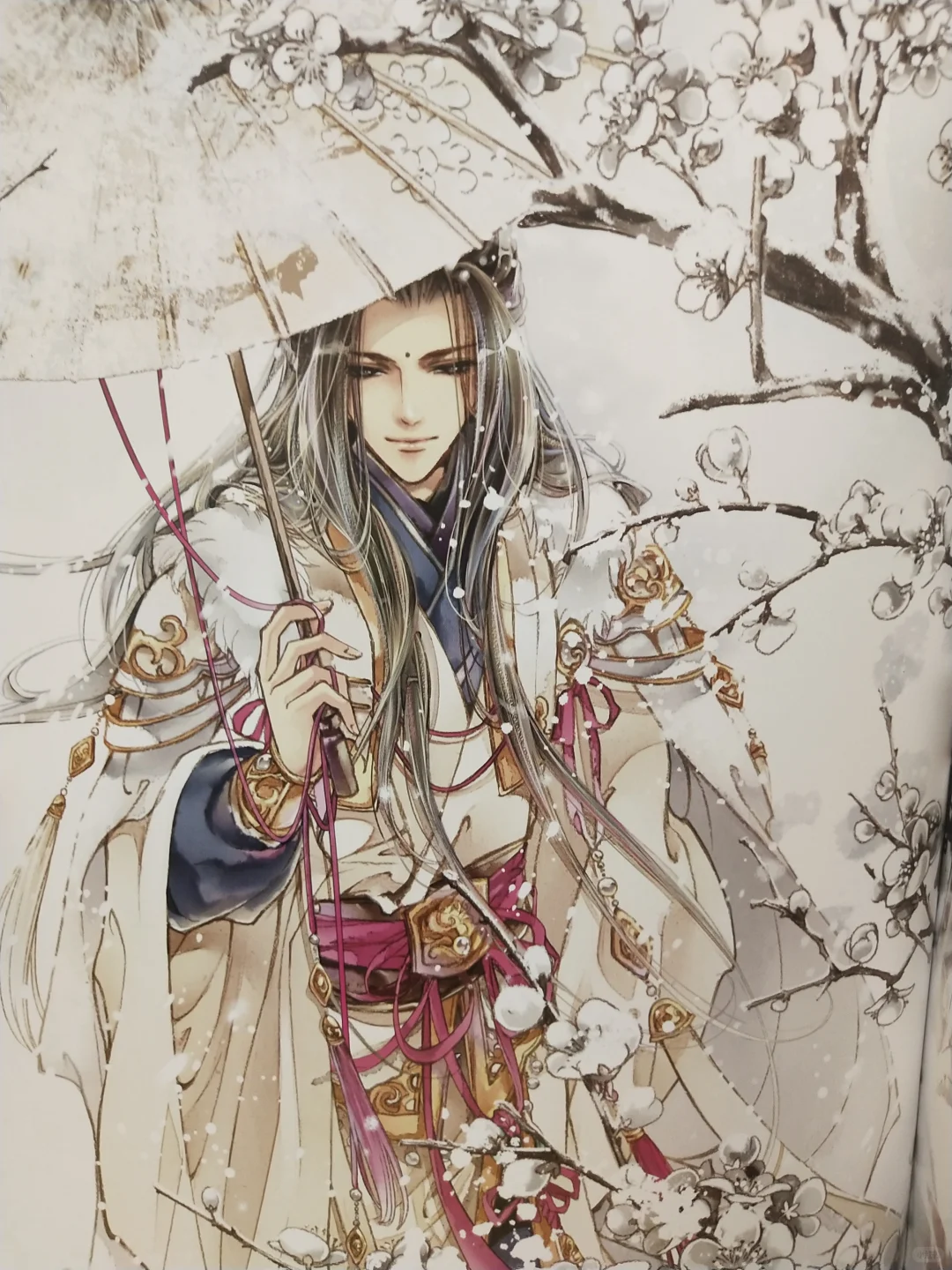 古装美人志画集