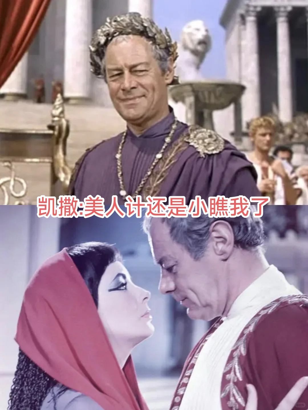 凯撒：老谋深算（七）