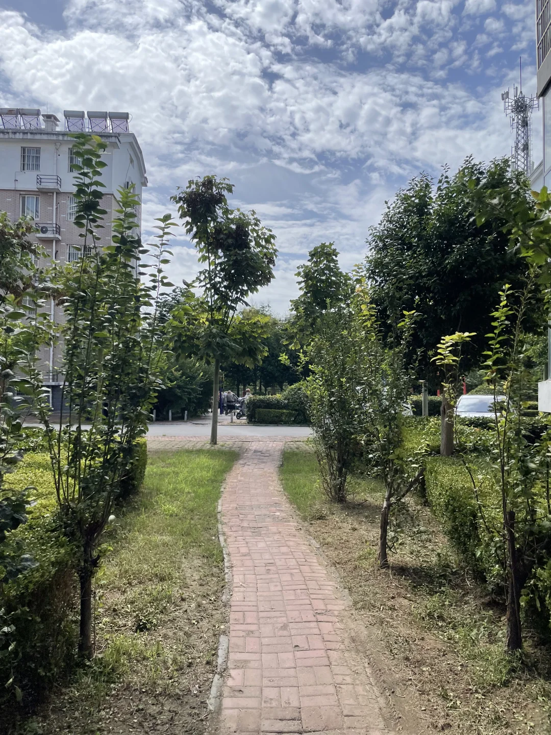 菏泽卖房公园里的家，北关多层一楼送车位