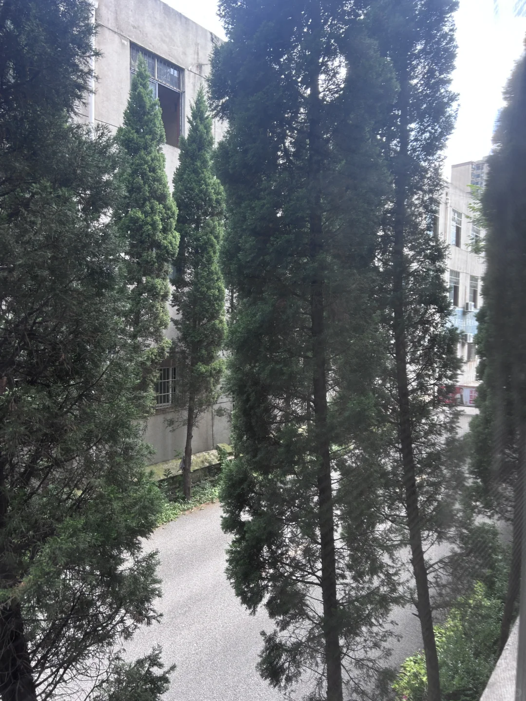 听说小红书卖房很快！我也来试一试