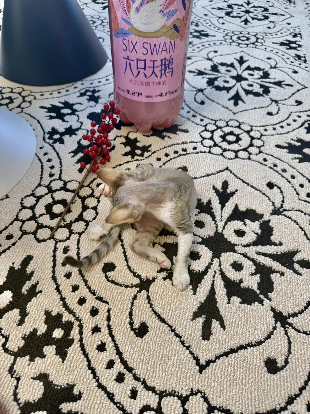 一人一猫住进88平法式🏠不是豪宅但真的好宅