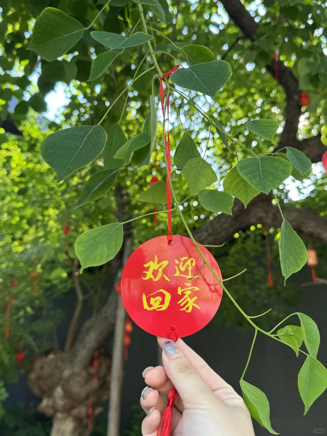 淄博受邀来参观这座宋式山水园林。。。