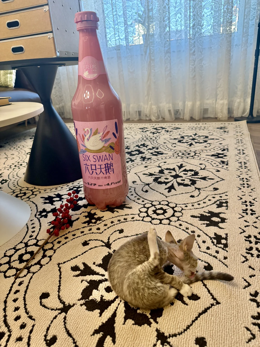 一人一猫住进88平法式🏠不是豪宅但真的好宅