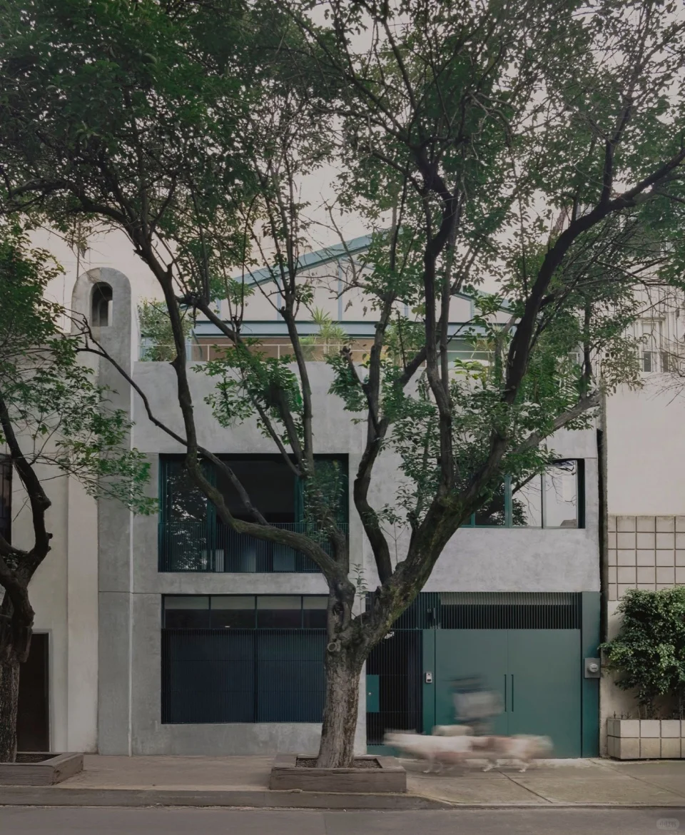 案例分析｜Sofia住宅🏠现代与自然的完美融合