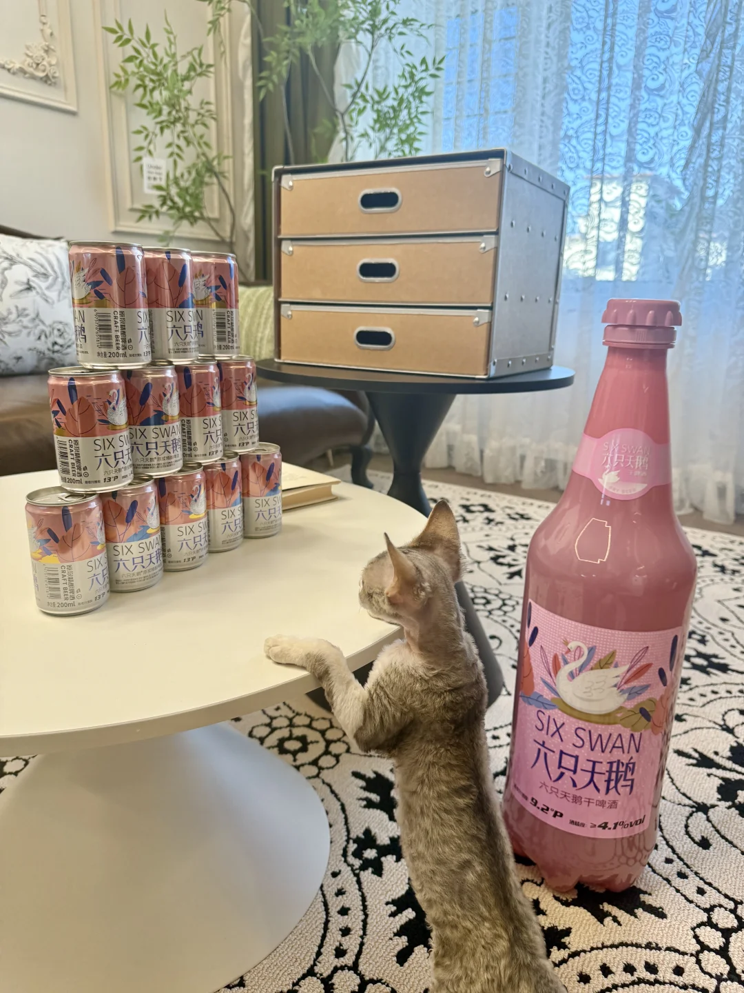 一人一猫住进88平法式🏠不是豪宅但真的好宅